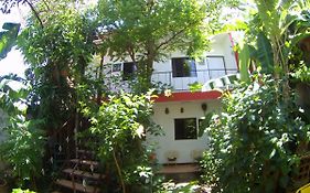 Museito De Carlos
